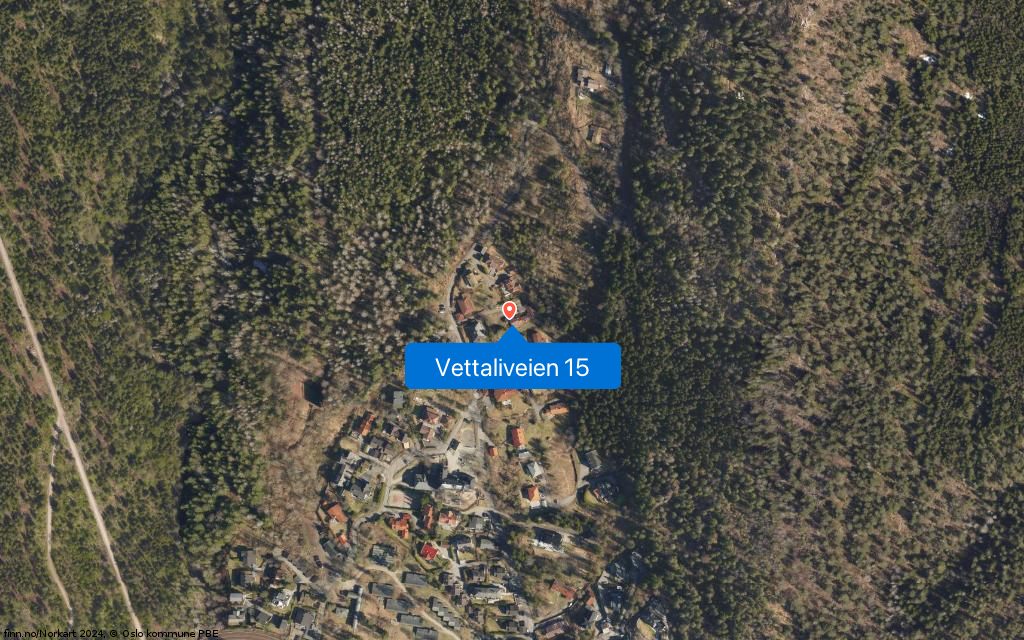 Google Street View
