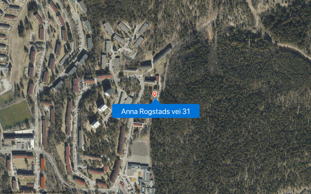 Google Street View