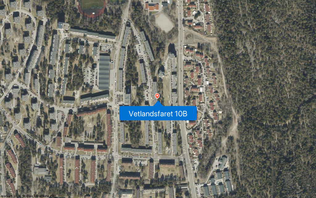 Google Street View