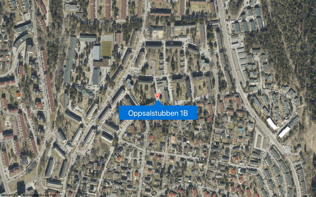Google Street View