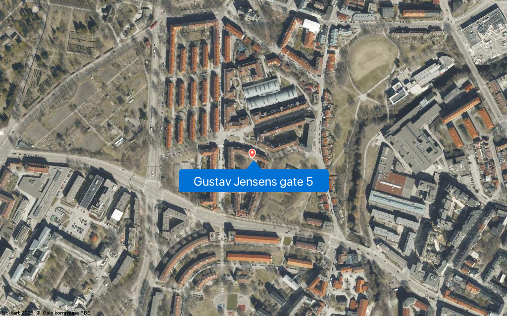 Google Street View