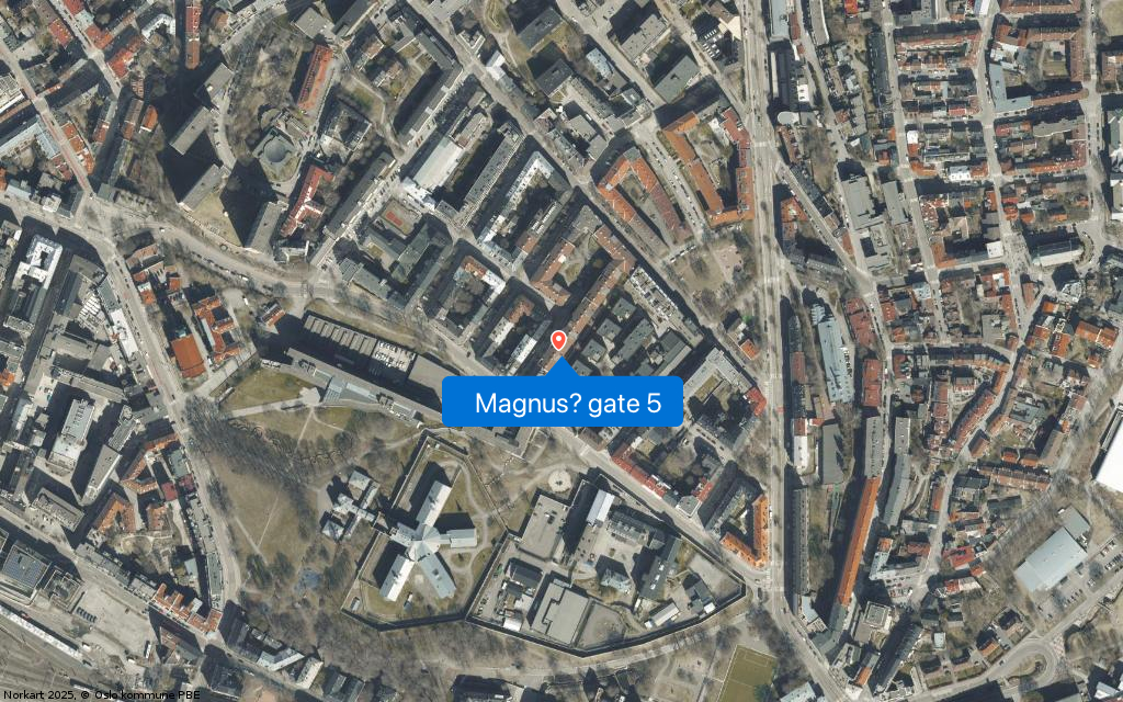 Google Street View