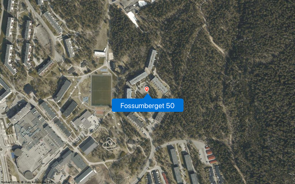 Fossumberget 50