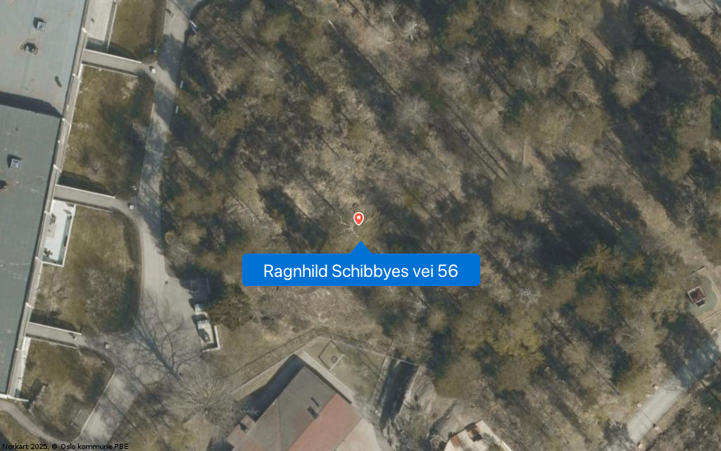 Ragnhild Schibbyes vei 56