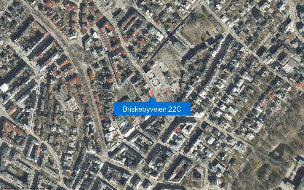 Briskebyveien 22C