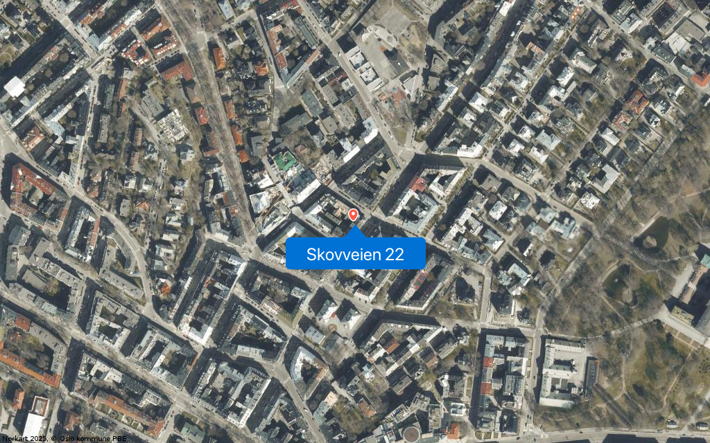 Skovveien 22