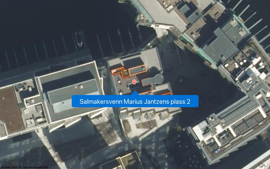 Salmakersvenn Marius Jantzens plass 2