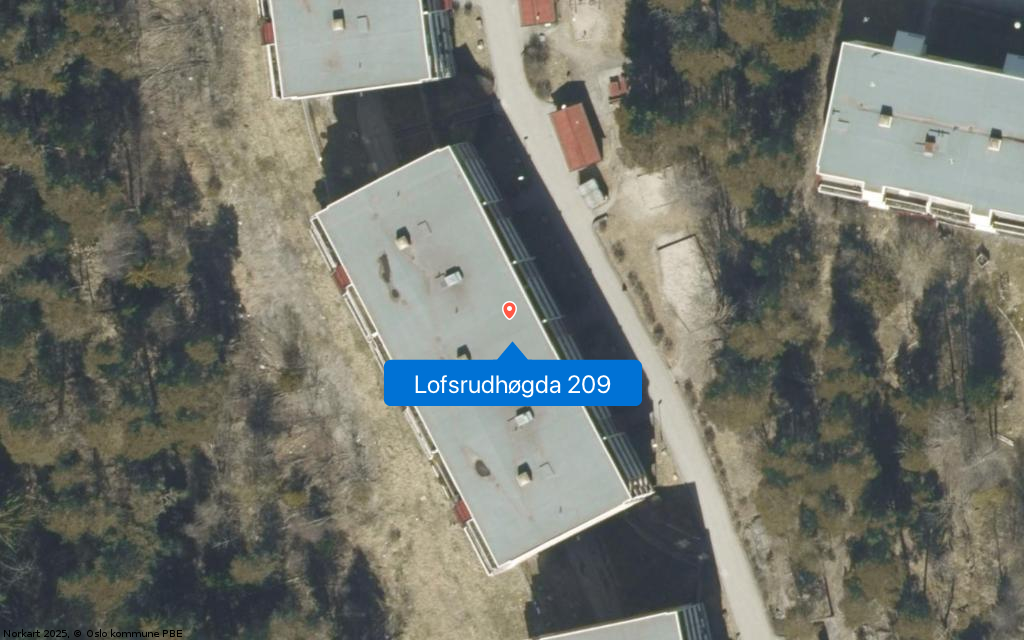 Lofsrudhøgda 209