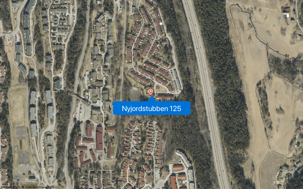 Nyjordstubben 125
