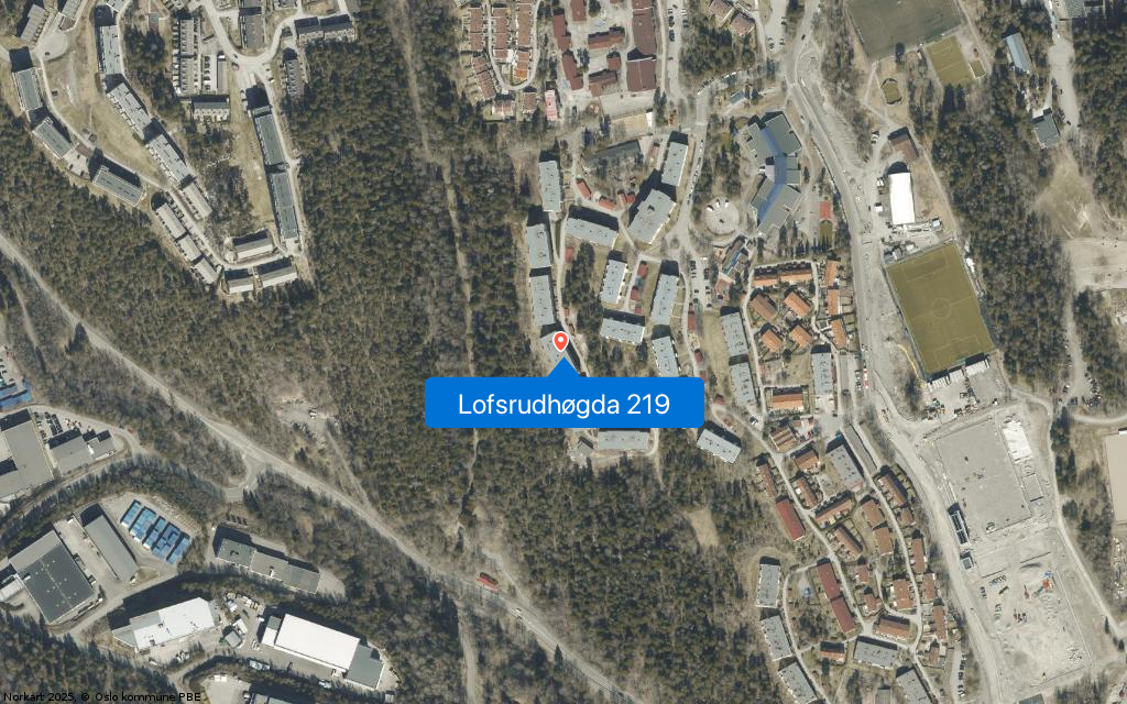 Lofsrudhøgda 219