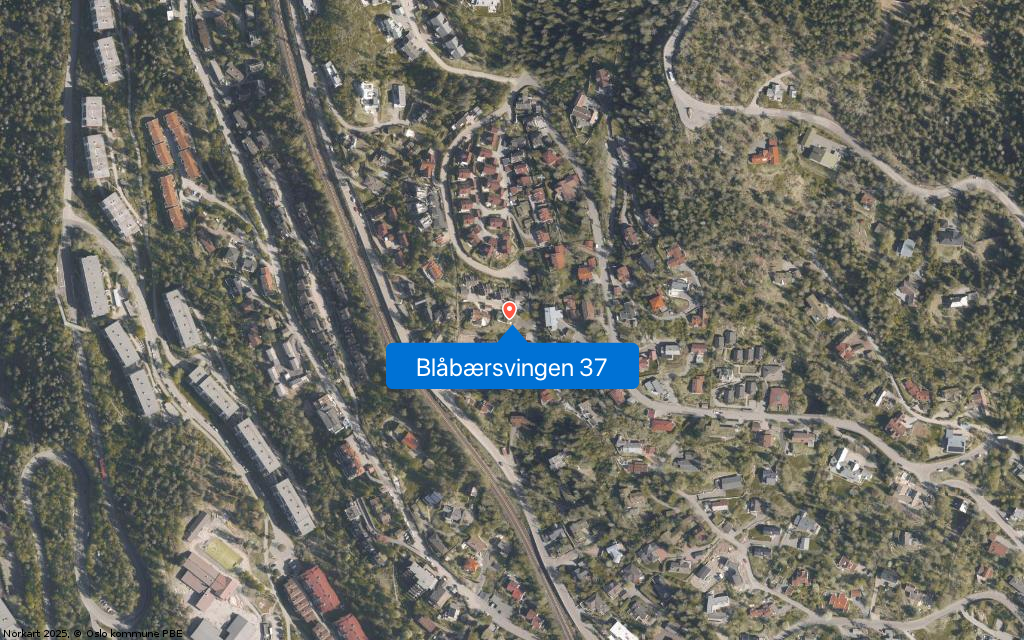 Blåbærsvingen 37