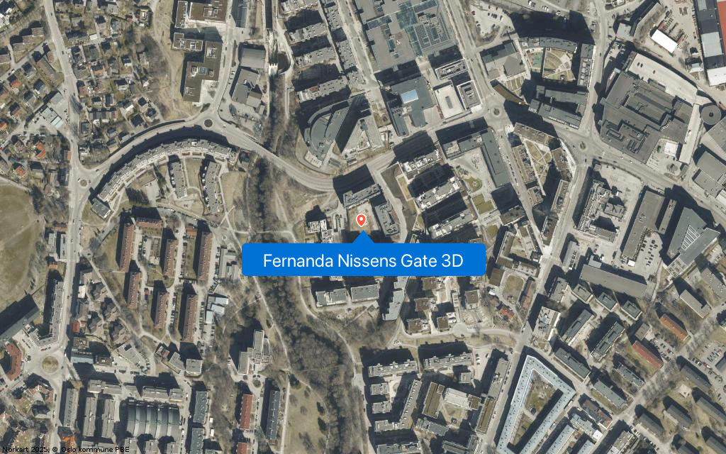 Fernanda Nissens Gate 3D