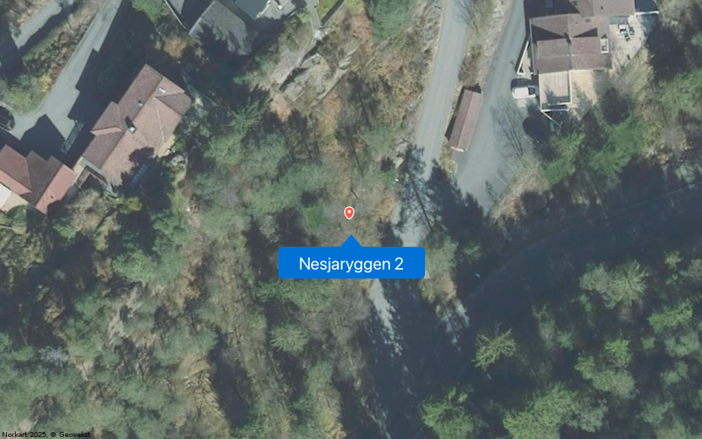 Nesjaryggen 2