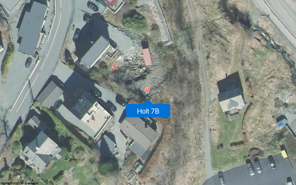 Holt 7B