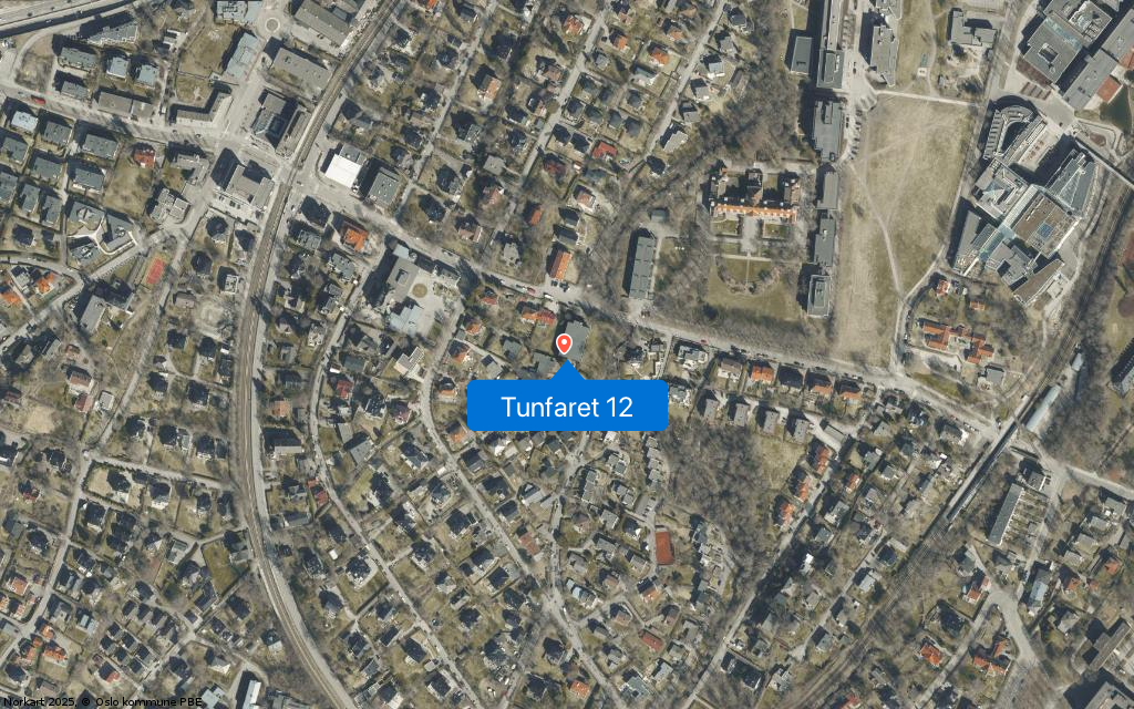 Tunfaret 12