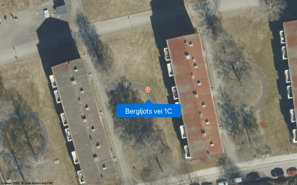 Bergljots vei 1C