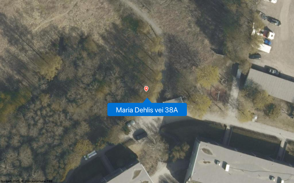 Maria Dehlis vei 38A