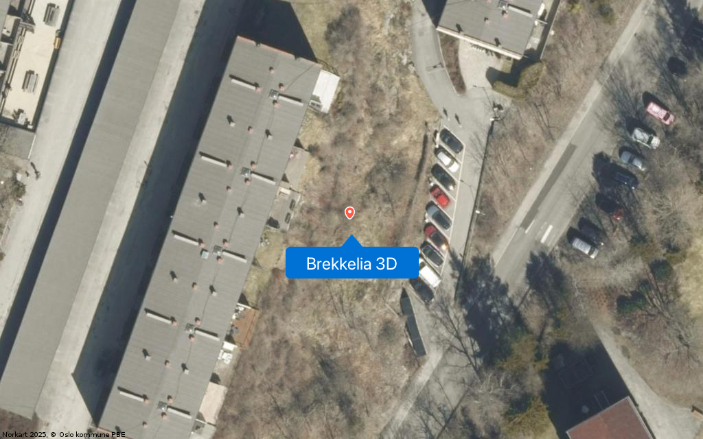 Brekkelia 3D