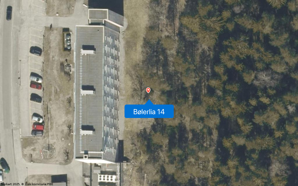 Bølerlia 14
