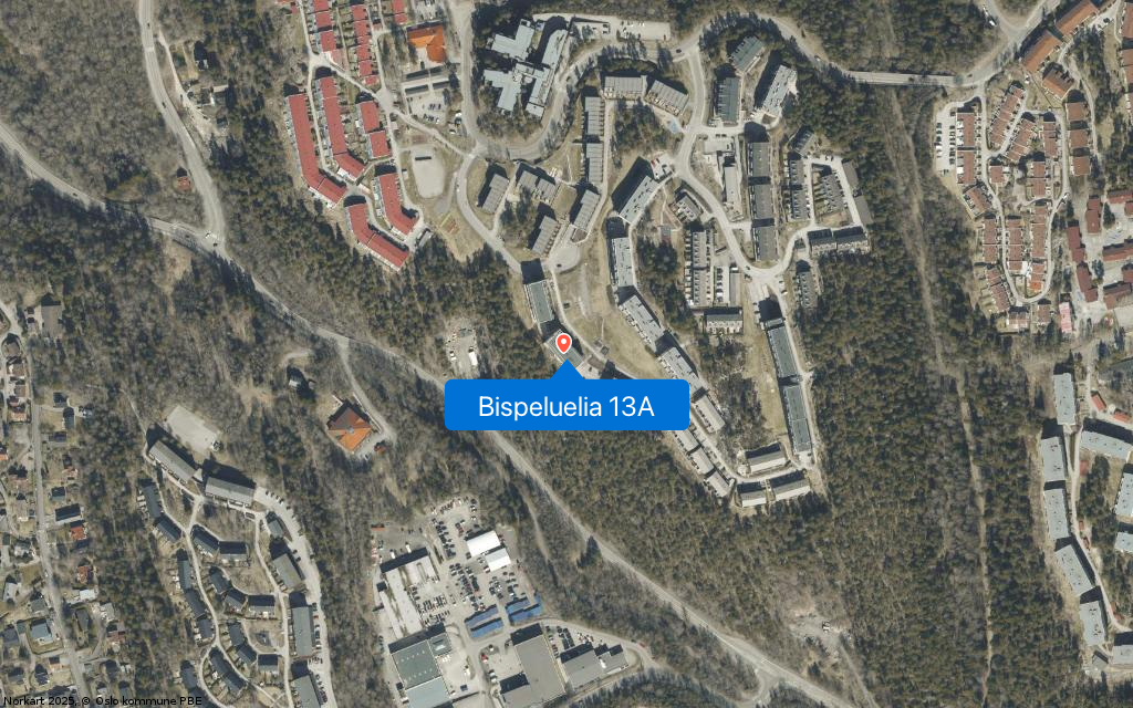 Bispeluelia 13A