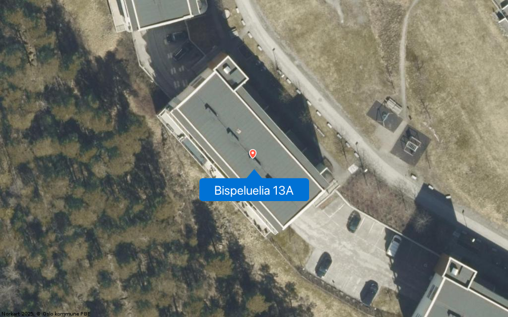 Bispeluelia 13A