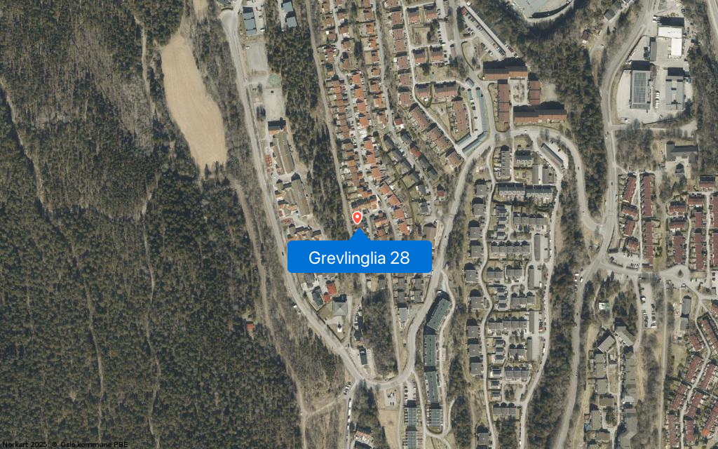 Grevlinglia 28