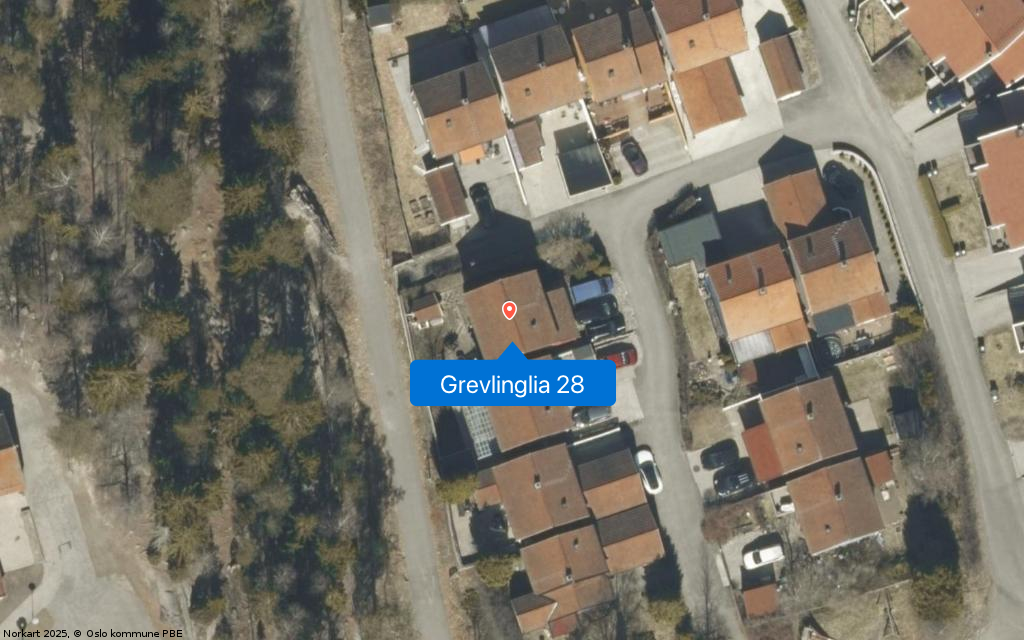 Grevlinglia 28