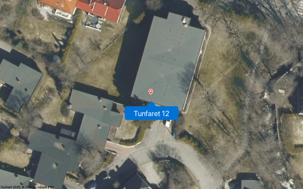 Tunfaret 12