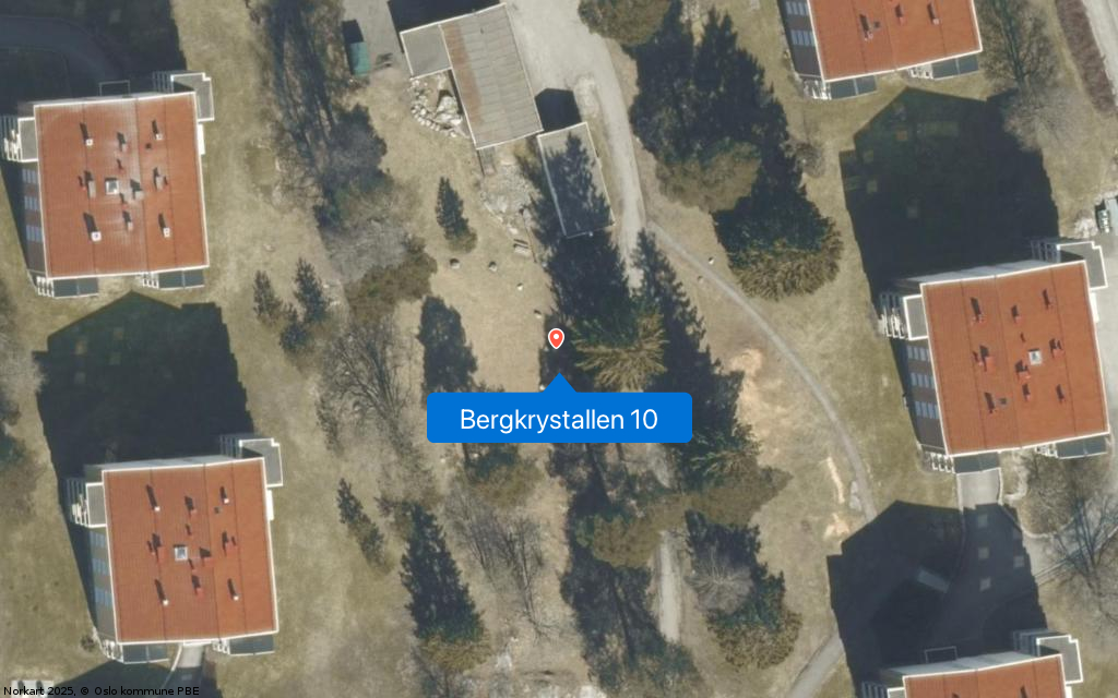 Bergkrystallen 10