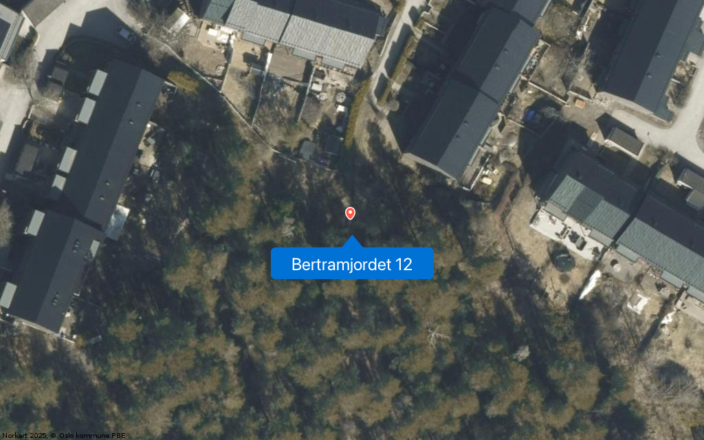 Bertramjordet 12
