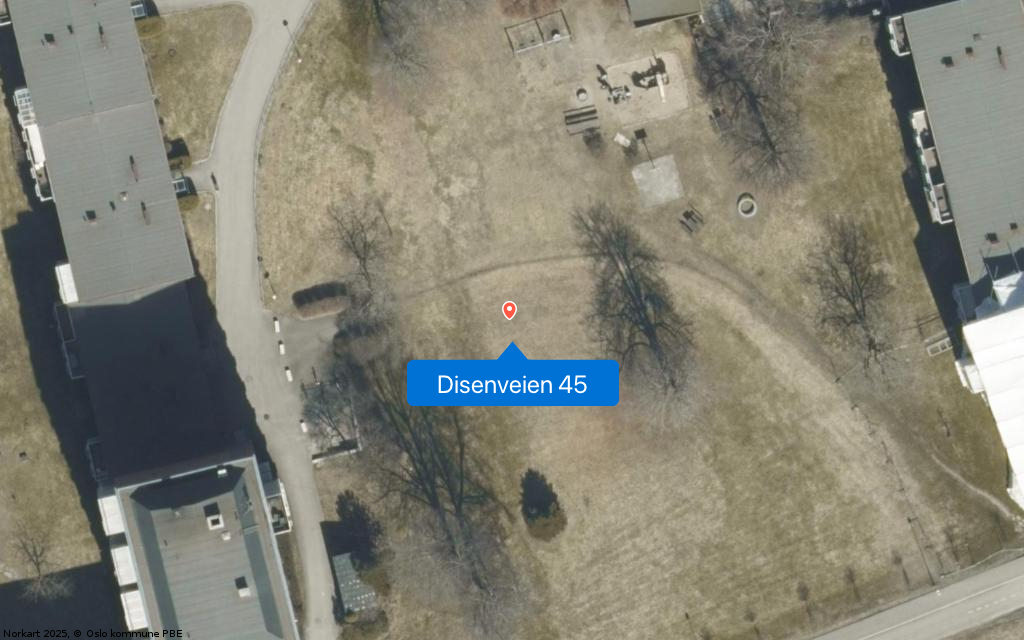 Disenveien 45