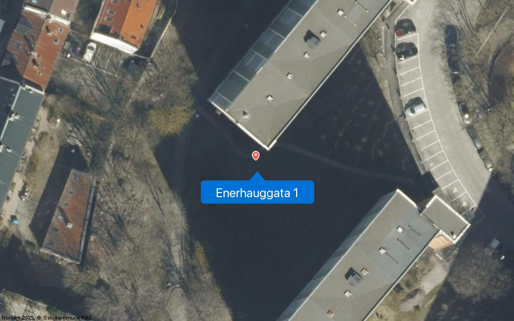 Enerhauggata 1