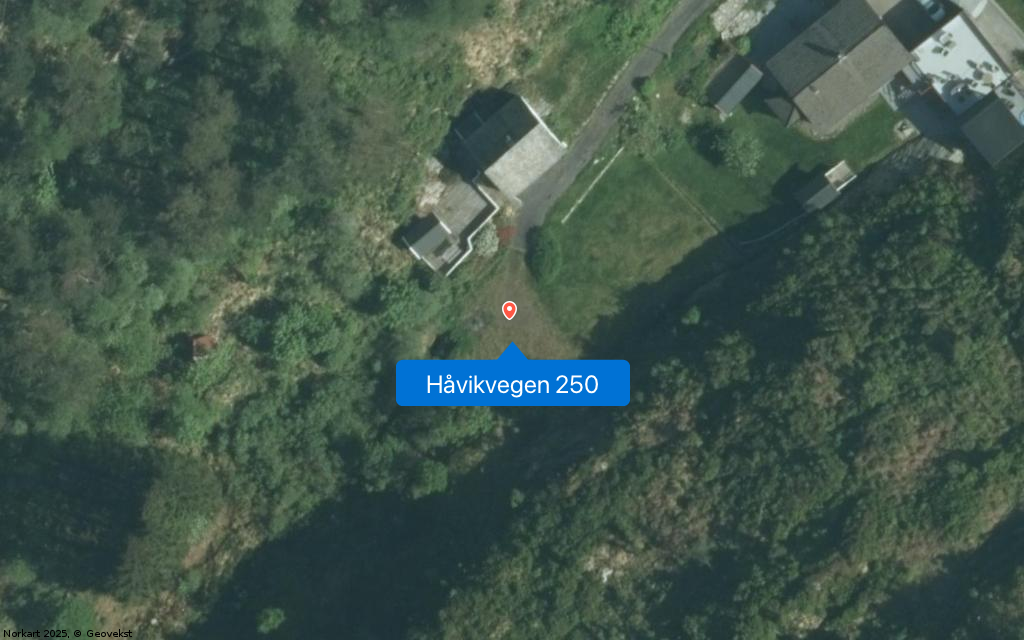 Håvikvegen 250