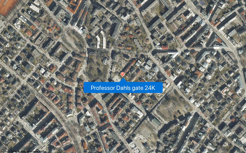 Professor Dahls gate 24K