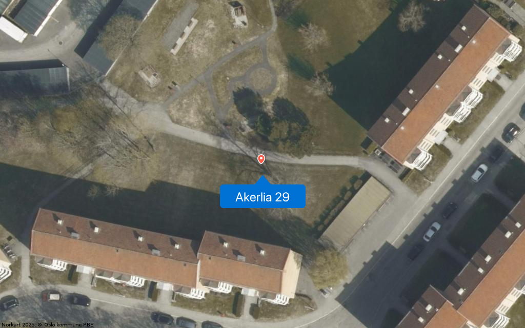 Akerlia 29