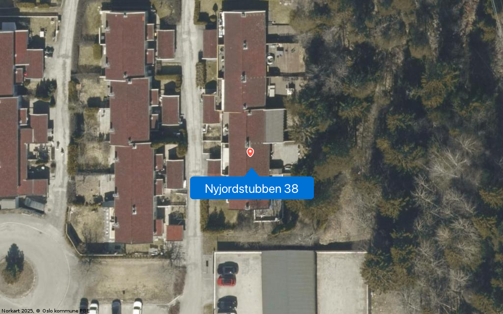 Nyjordstubben 38