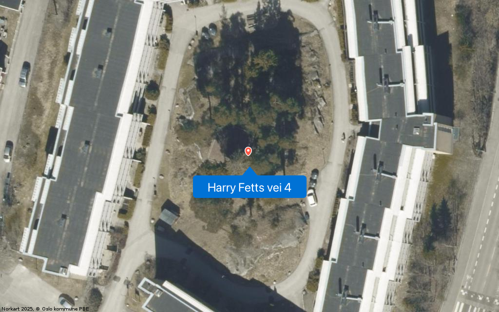 Harry Fetts vei 4