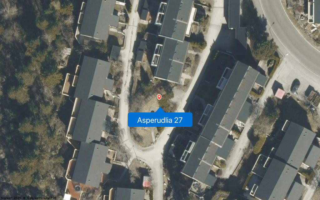 Asperudlia 27