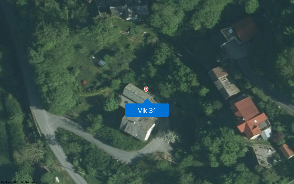 Vik 31