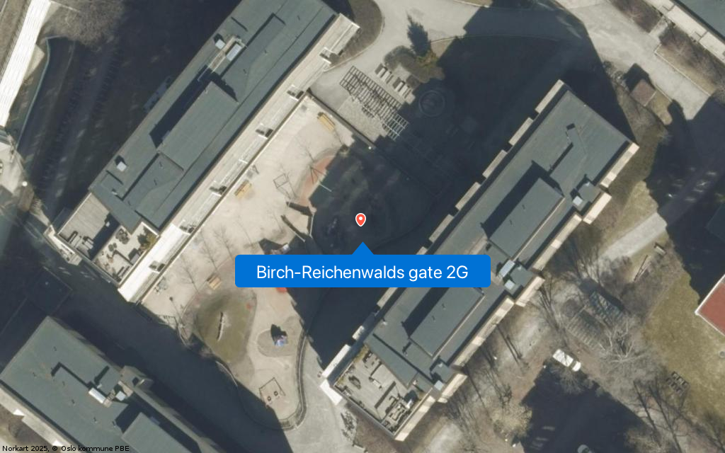 Birch-Reichenwalds gate 2G