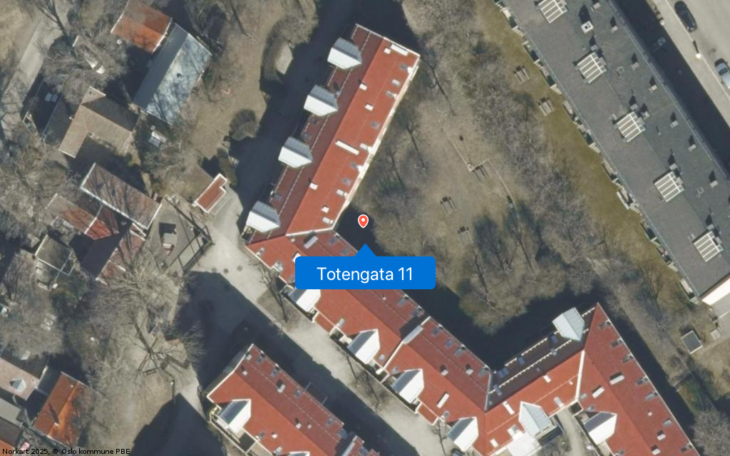 Totengata 11