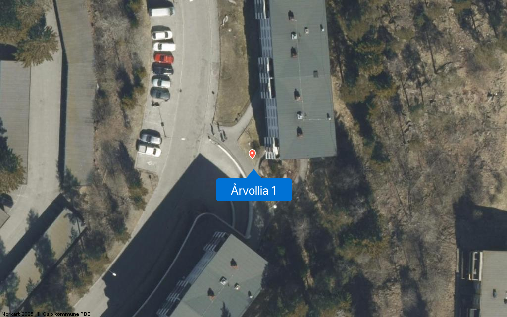 Årvollia 1