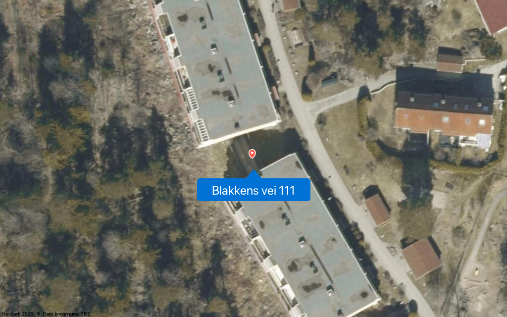 Blakkens vei 111