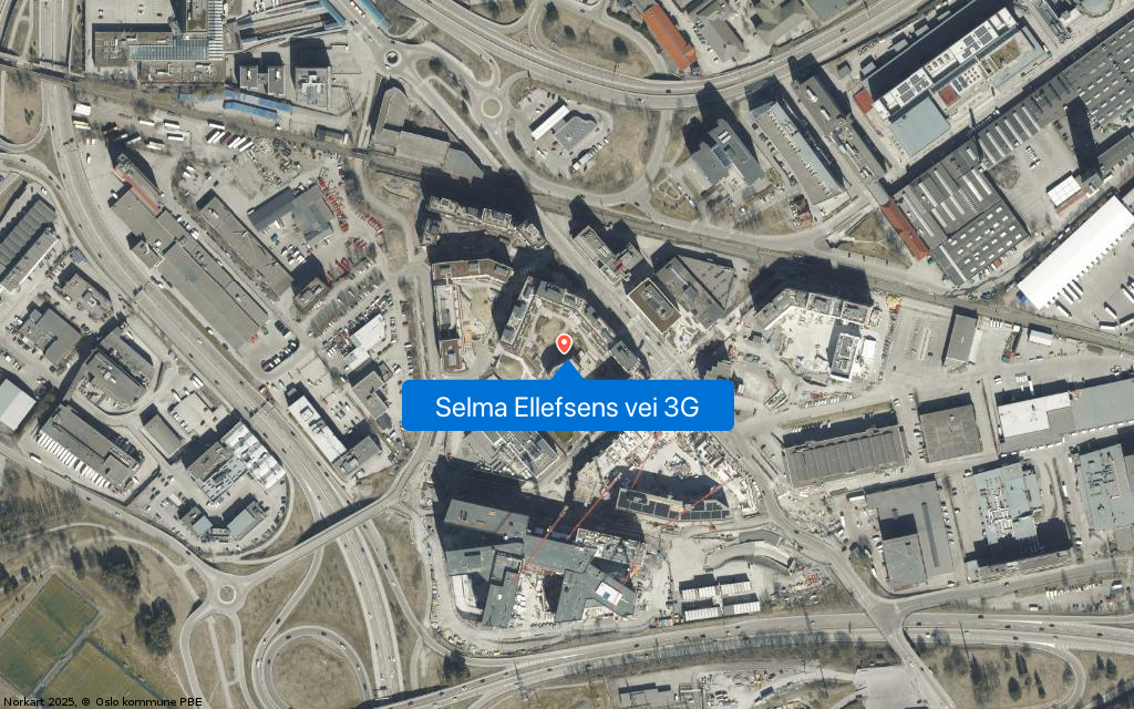 Selma Ellefsens vei 3G