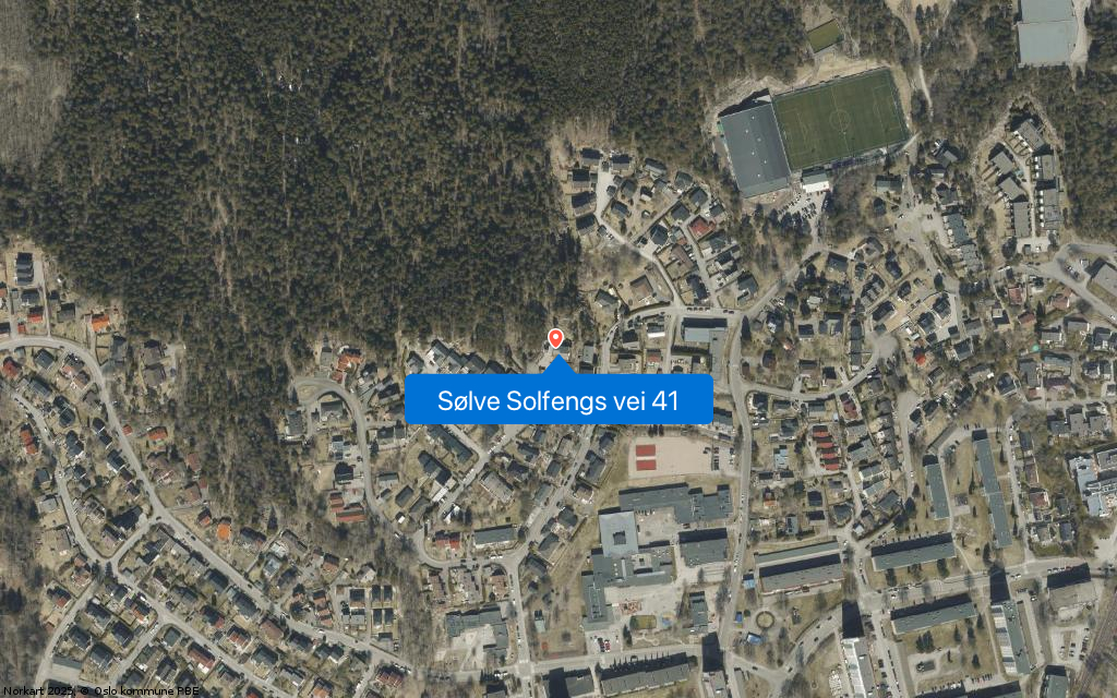 Sølve Solfengs vei 41