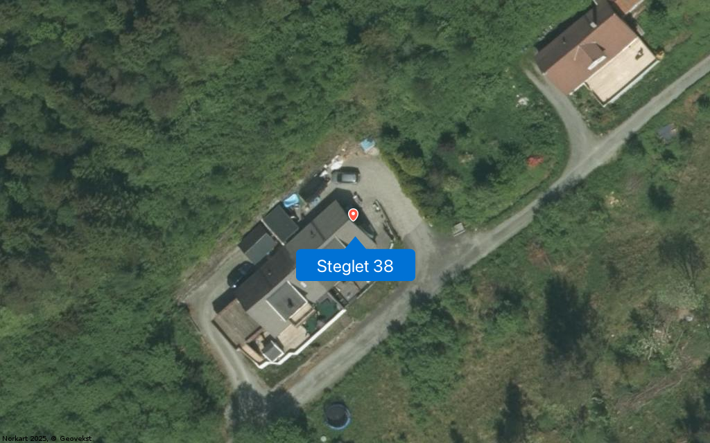 Steglet 38