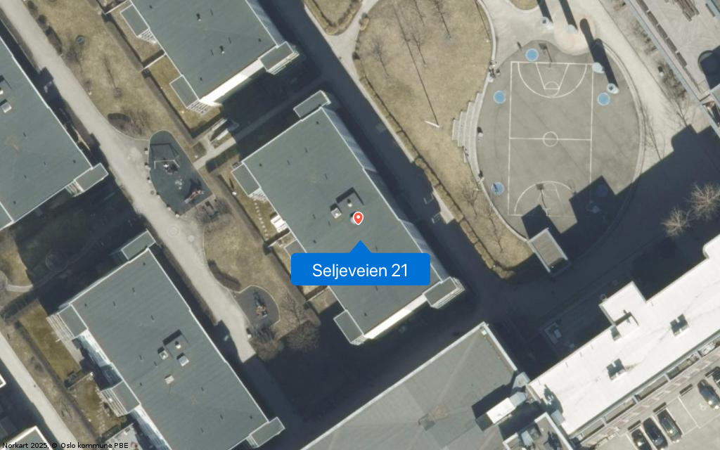Seljeveien 21