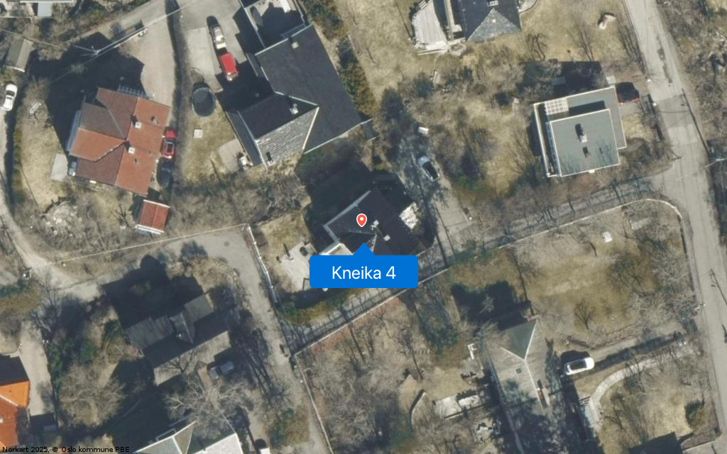 Kneika 4