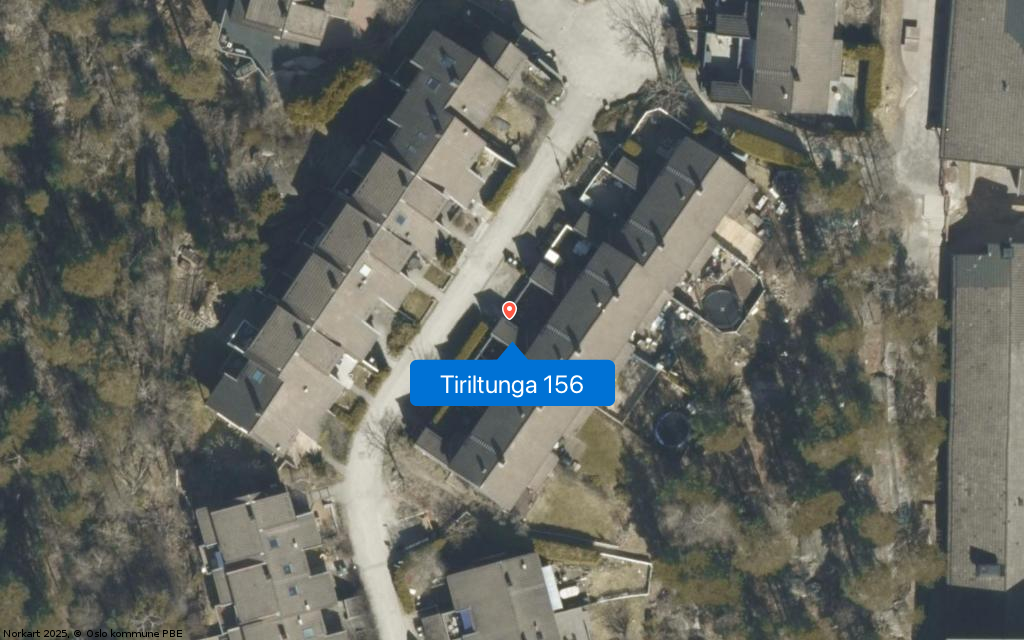 Tiriltunga 156