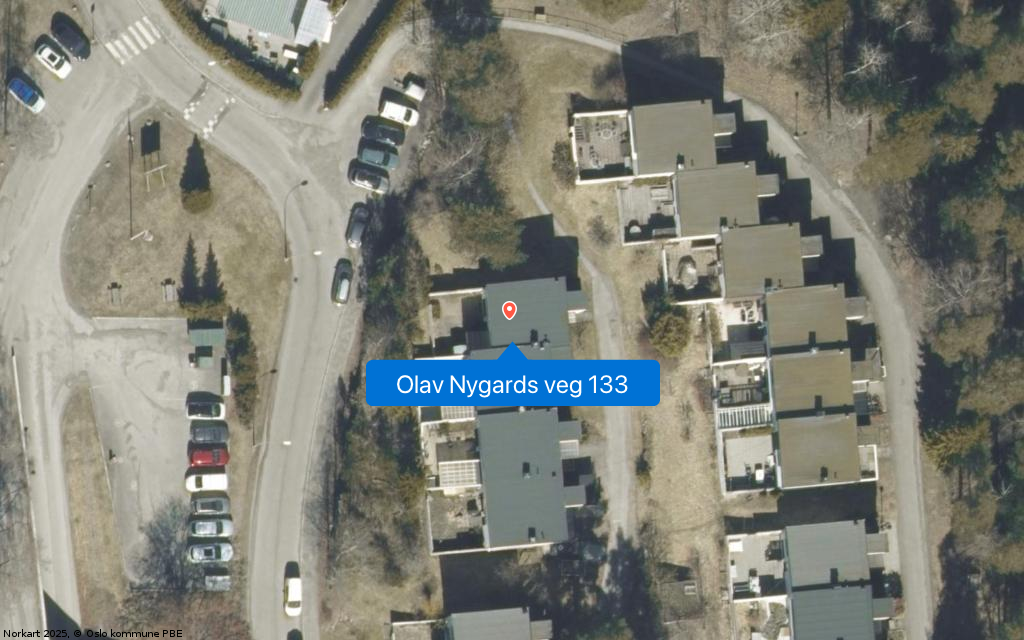 Olav Nygards veg 133